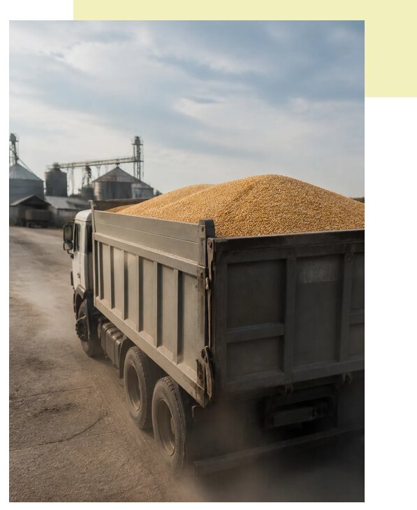 Перевозка сельхозпродукции навалом в Магадан по цене от 3067 р. | Агросервис-Мгд